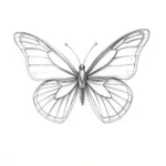 butterfly drawing ai generated